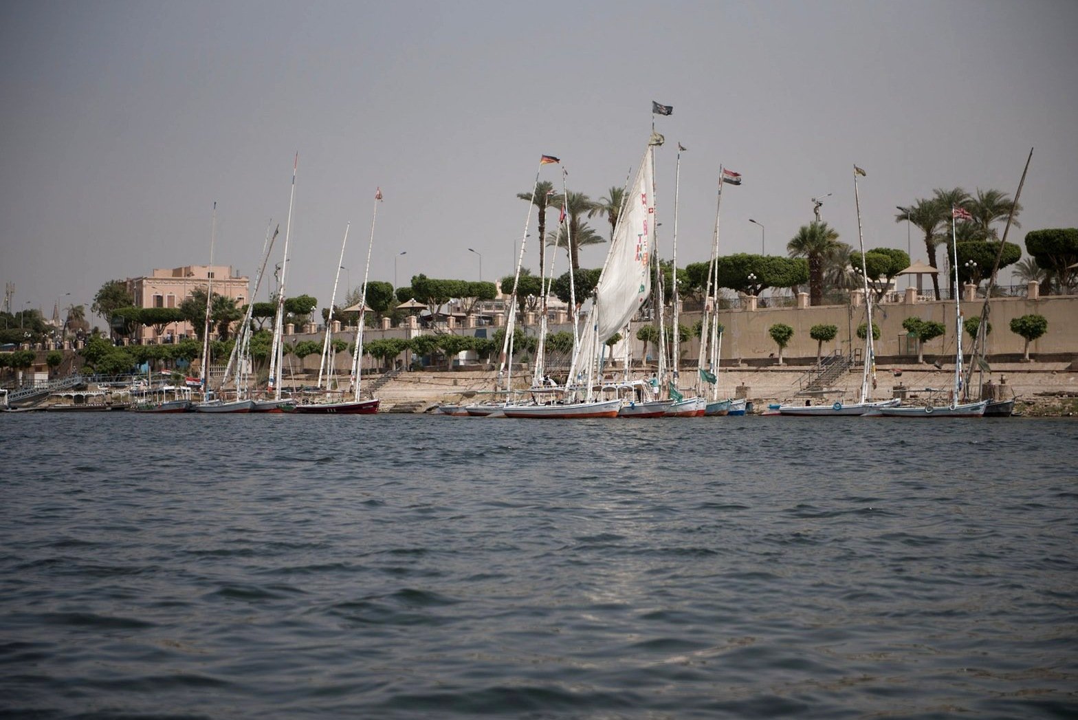 Sailing boats beside the palm-lined riverbank