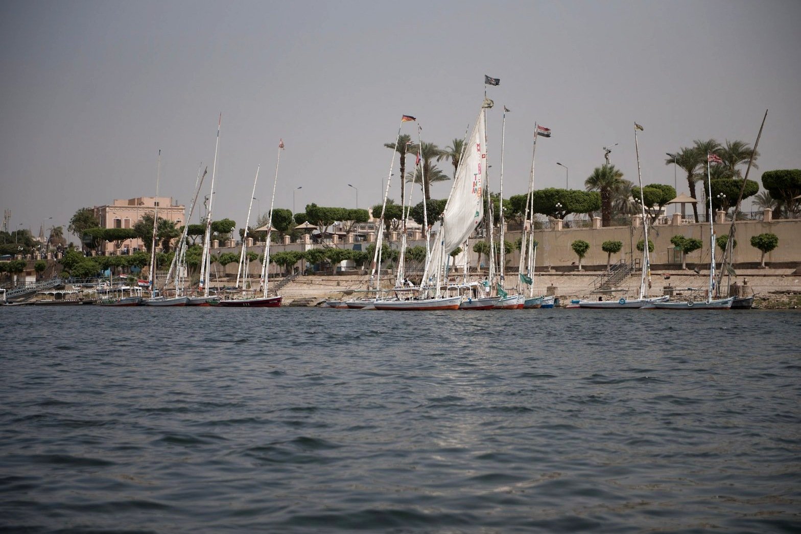 Sailing boats beside the palm-lined riverbank